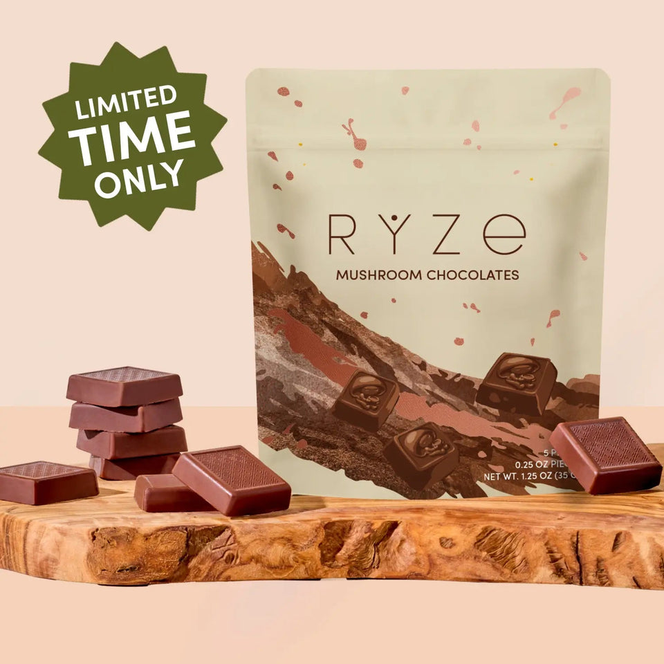 Mushroom Chocolates Rye (15 pieces) - Daily Cup