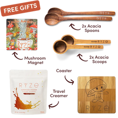 Free Premium Gift Bundle - Bright Bundle