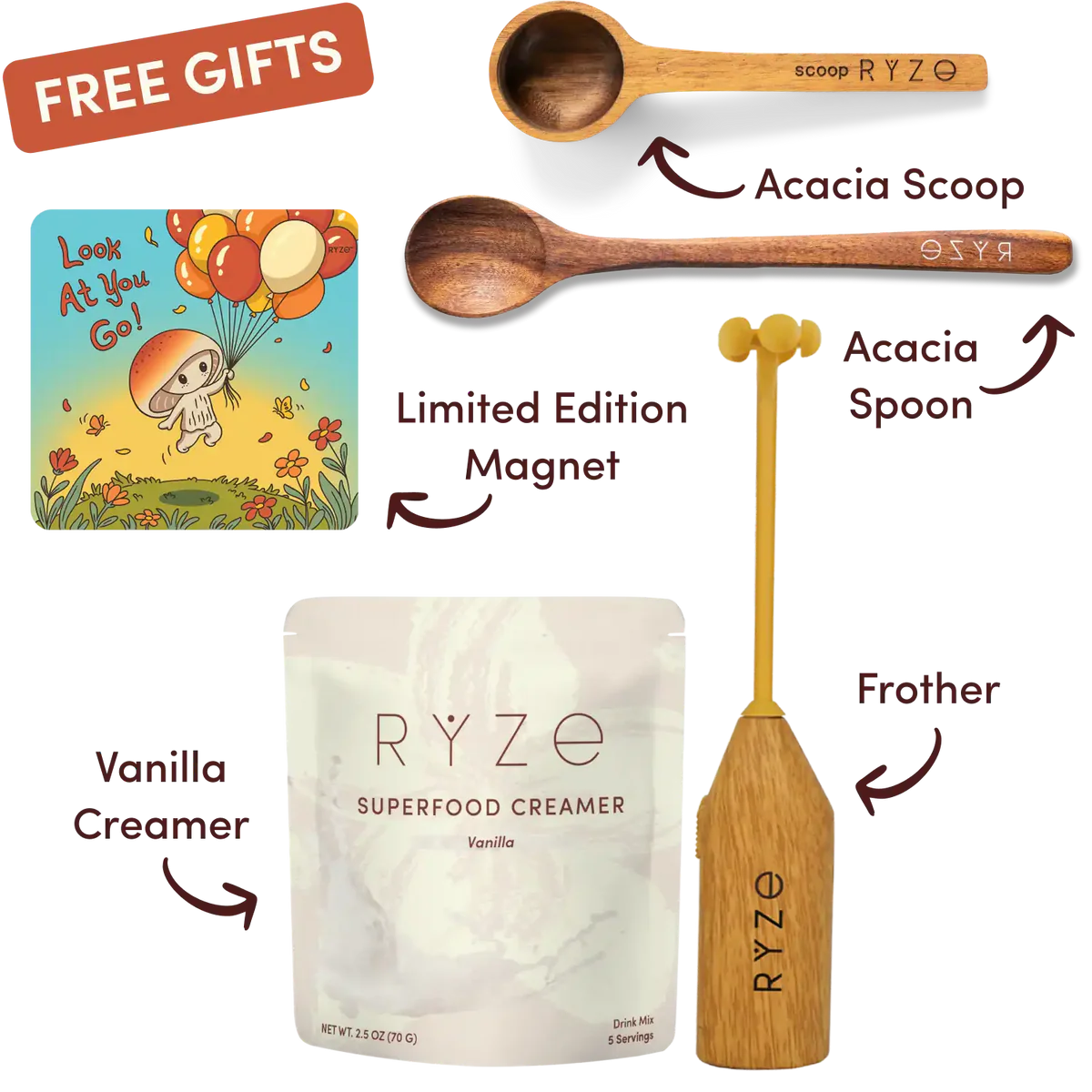 Mushroom Coffee Starter Kit (60 servings) - Counter Ready
