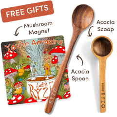 Free Gift Bundle - Cozy Pick