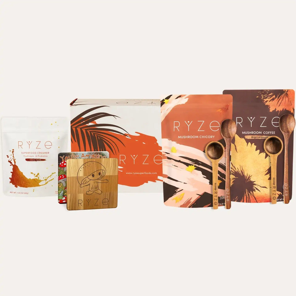 Lasting Energy Bundle (Chicory + Coffee) - Bold Kit