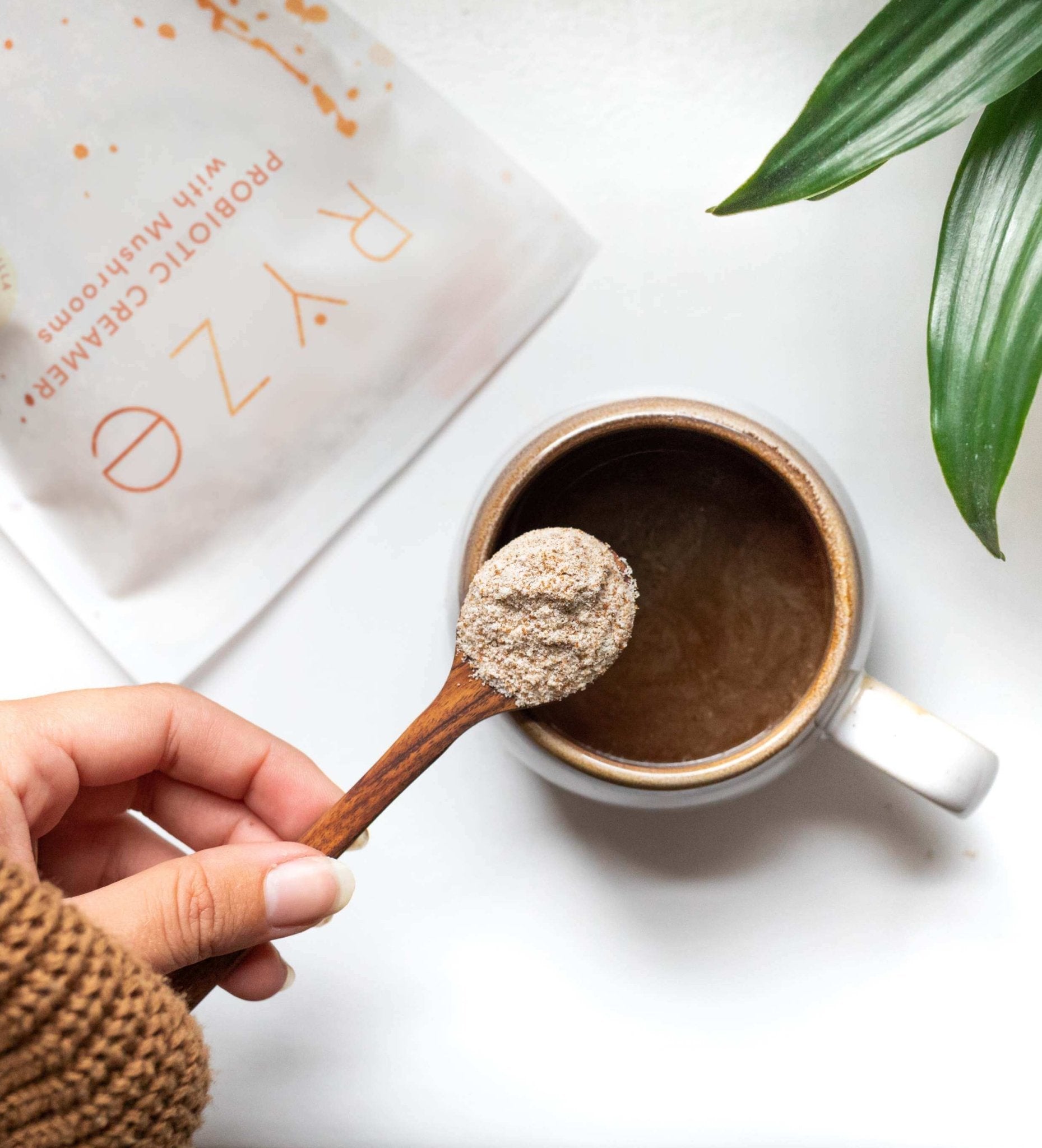 RYZE Probiotic Creamer (30 Servings) - Classic Vanilla Cup