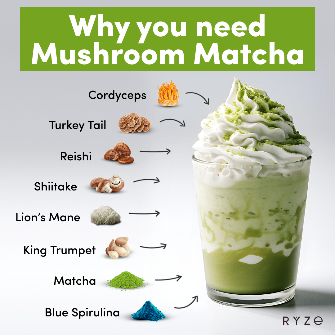 RYZE Organic Mushroom Matcha Starter Kit (60 servings) - Clean Routine